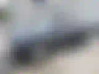 Vehicle Image- 2024 Tesla Model Y
