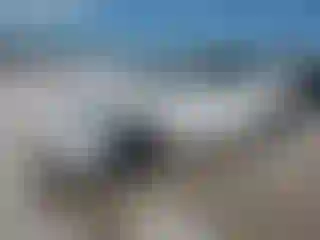 Vehicle Image- 2024 Tesla Model Y