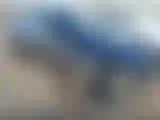 Vehicle Image- 2024 Tesla Model Y