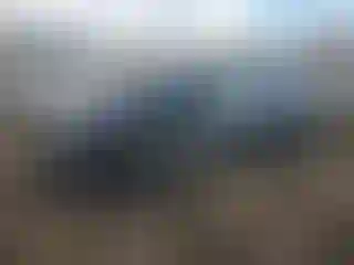 Vehicle Image- 2024 Tesla Model Y