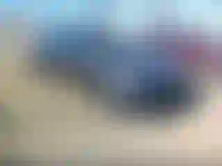 Vehicle Image- 2025 Tesla Model Y