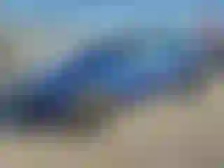 Vehicle Image- 2022 Tesla Model Y