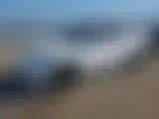 Vehicle Image- 2022 Tesla Model Y