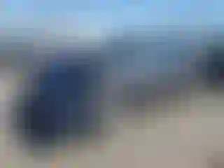 Vehicle Image- 2022 Tesla Model Y