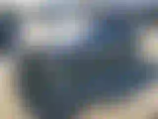 Vehicle Image- 2022 Tesla Model Y