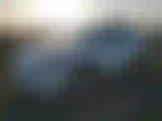 Vehicle Image- 2023 Tesla Model Y