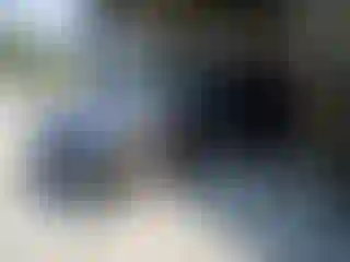 Vehicle Image- 2023 Tesla Model Y