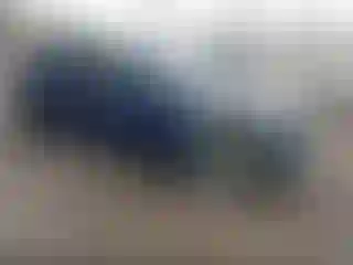 Vehicle Image- 2023 Tesla Model Y