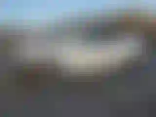 Vehicle Image- 2023 Tesla Model Y