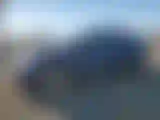 Vehicle Image- 2024 Tesla Model Y