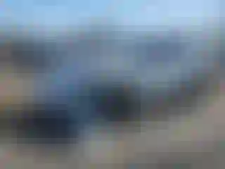 Vehicle Image- 2025 Tesla Model Y
