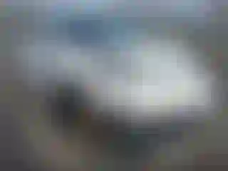 Vehicle Image- 2025 Tesla Model Y