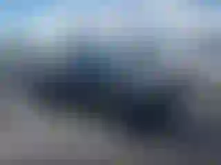 Vehicle Image- 2025 Tesla Model Y