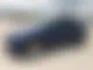 Vehicle Image- 2022 Tesla Model Y