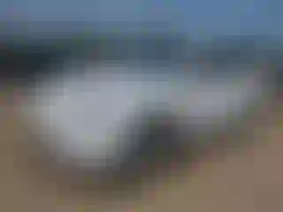 Vehicle Image- 2022 Tesla Model Y