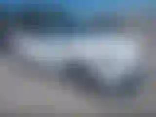 Vehicle Image- 2022 Tesla Model Y