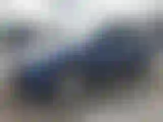 Vehicle Image- 2022 Tesla Model Y