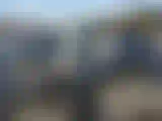 Vehicle Image- 2022 Tesla Model Y
