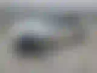 Vehicle Image- 2023 Tesla Model Y