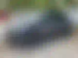 Vehicle Image- 2023 Tesla Model Y