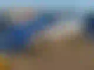 Vehicle Image- 2023 Tesla Model Y