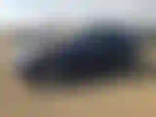 Vehicle Image- 2023 Tesla Model Y