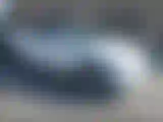 Vehicle Image- 2023 Tesla Model Y