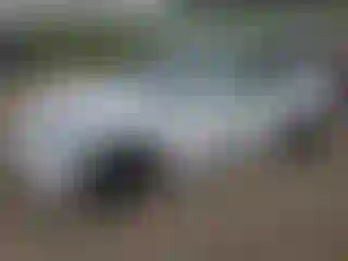 Vehicle Image- 2023 Tesla Model Y
