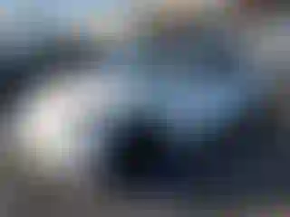 Vehicle Image- 2024 Tesla Model Y