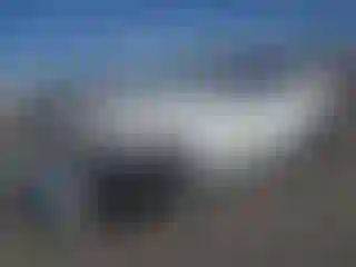 Vehicle Image- 2024 Tesla Model Y
