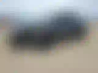 Vehicle Image- 2022 Tesla Model Y