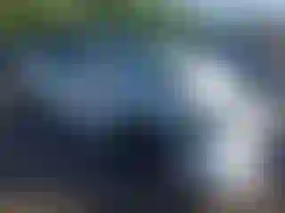 Vehicle Image- 2023 Tesla Model Y