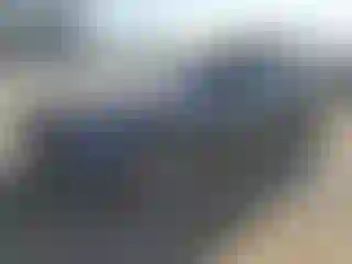 Vehicle Image- 2023 Tesla Model Y