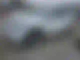 Vehicle Image- 2023 Tesla Model Y