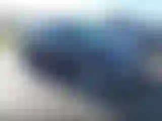 Vehicle Image- 2023 Tesla Model Y