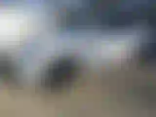 Vehicle Image- 2023 Tesla Model Y