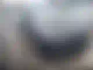 Vehicle Image- 2024 Tesla Model Y
