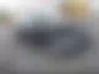 Vehicle Image- 2024 Tesla Model Y
