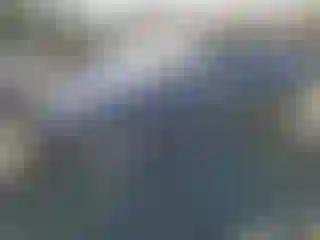 Vehicle Image- 2022 Tesla Model Y