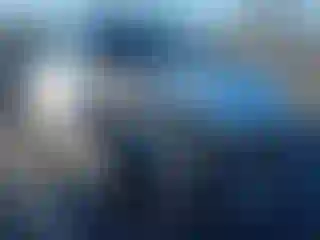Vehicle Image- 2023 Tesla Model Y