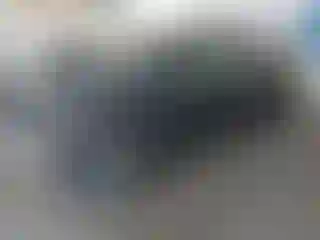 Vehicle Image- 2023 Tesla Model Y