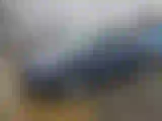 Vehicle Image- 2023 Tesla Model Y