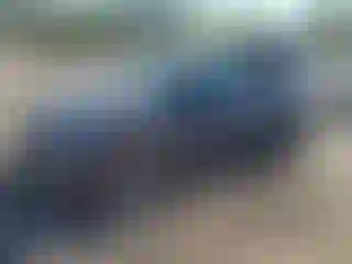 Vehicle Image- 2023 Tesla Model Y