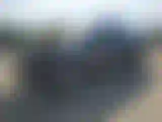 Vehicle Image- 2024 Tesla Model Y