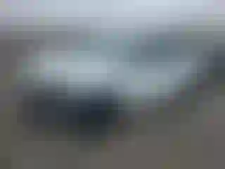 Vehicle Image- 2024 Tesla Model Y