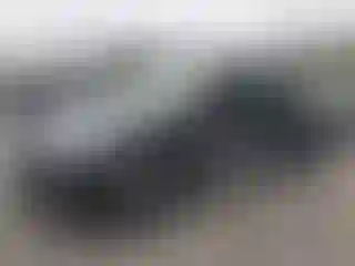 Vehicle Image- 2024 Tesla Model Y