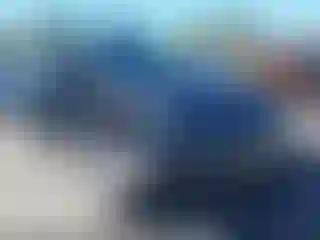 Vehicle Image- 2026 Tesla Model Y