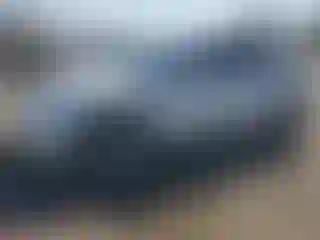 Vehicle Image- 2022 Tesla Model Y