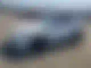 Vehicle Image- 2022 Tesla Model Y