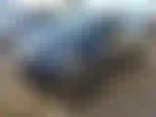 Vehicle Image- 2023 Tesla Model Y